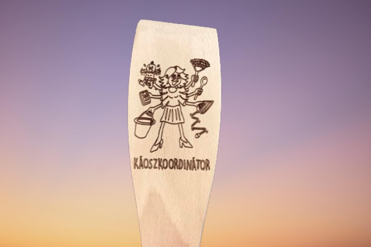 Teflonlapát káoszkoordinátor